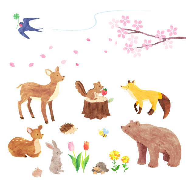 illustrazioni stock, clip art, cartoni animati e icone di tendenza di set di illustrazioni di simpatici animali nella foresta in stile acquerello dipinto a mano - cervide