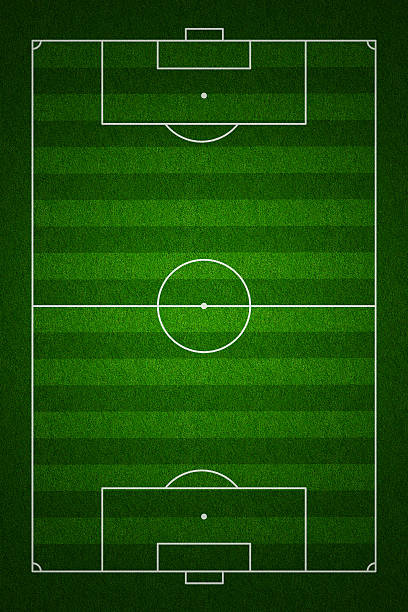 istock Soccer field or pitch top view with proper standard markings 137578359