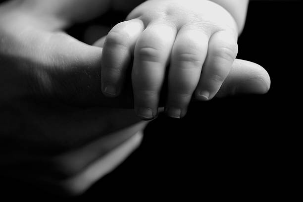 istock Baby's hand wrapped around adult's forefinger in greyscale 137578879