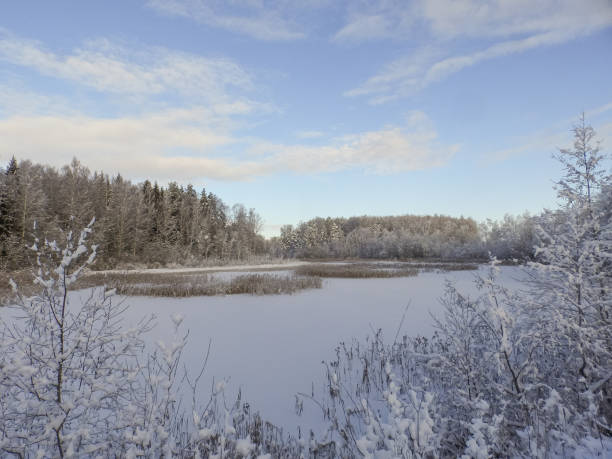 istock winter landscape with lake and snow-covered trees 1375855672