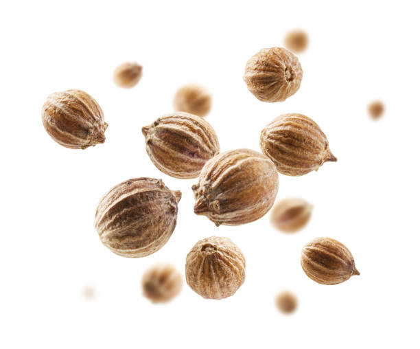 Coriander seeds levitate on a white background stock photo