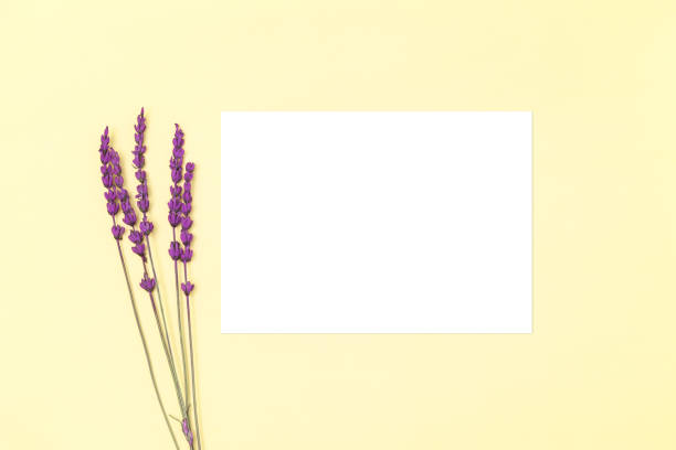 istock Wedding invitation or greeting card mockup on a yellow background. 1375869921