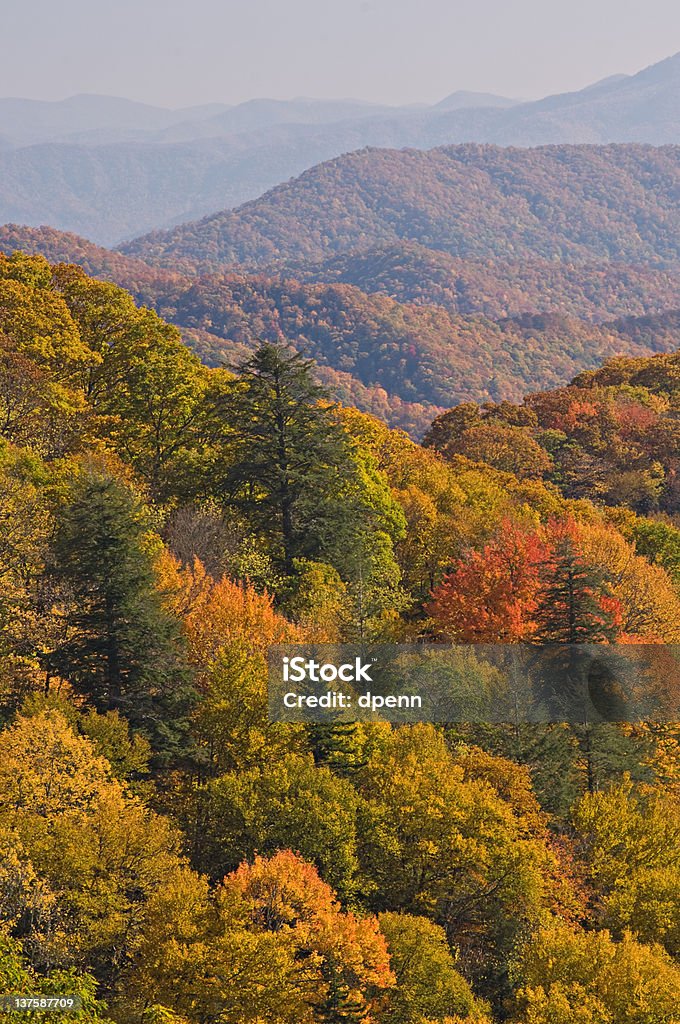 Jesień Krajobraz - Zbiór zdjęć royalty-free (Bez ludzi) Jesień Krajobraz - Zbiór zdjęć royalty-free (Bez ludzi)