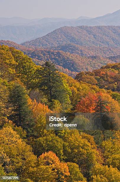 Outono Paisagem - Fotografias de stock e mais imagens de Amarelo - Amarelo, Ao Ar Livre, Beleza natural