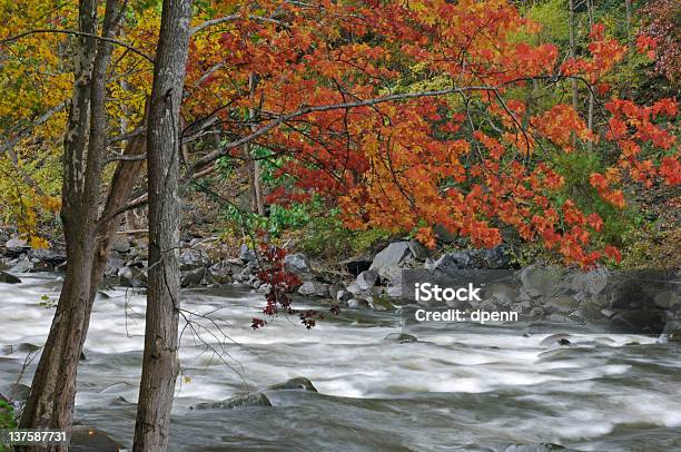 Outono Rio De Pombo - Fotografias de stock e mais imagens de Ao Ar Livre - Ao Ar Livre, Appalachia, Cena de tranquilidade