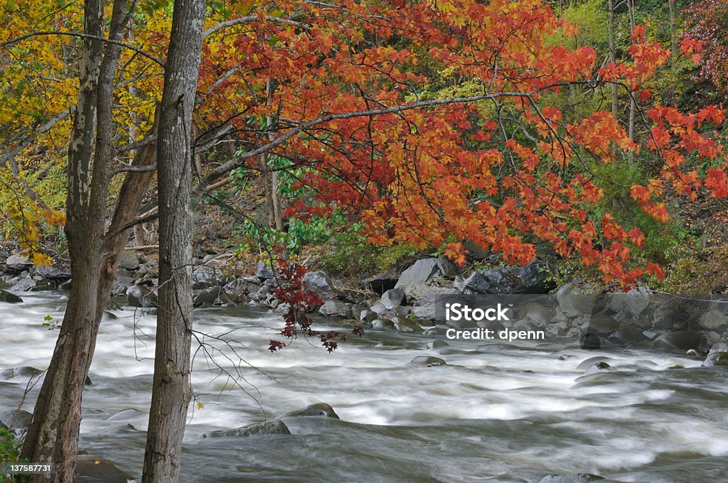 Осень, Pigeon Река - Стоковые фото Аппалачиа роялти-фри