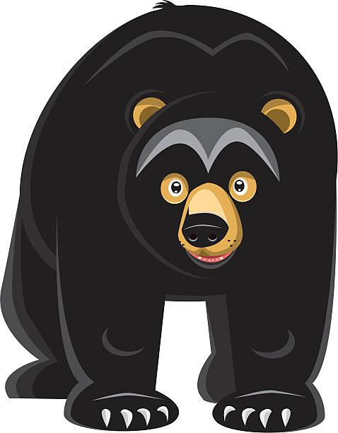 Bear Cartoon American Black Bear Black Illustrations, Royalty-Free Vector  Graphics & Clip Art - iStock