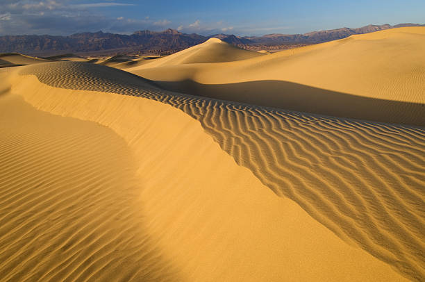 istock Mesquite Sand Dunes Death Valley 137588215