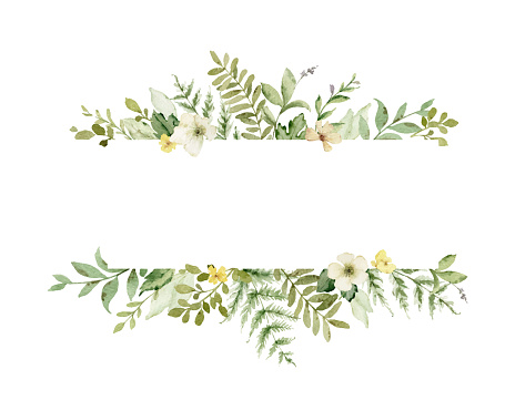 Watercolor vector banner with green forest foliage and flowers. Floral illustration for  greetings, wallpapers, invitation, wedding stationary, fashion, background.