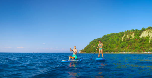 istock Couple paddleboarding in sea 1375918259