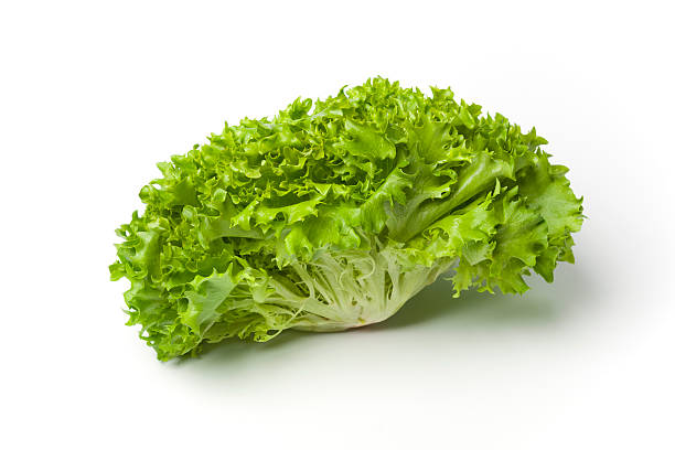istock Fresh green Lollo bionda lettuce 137592477