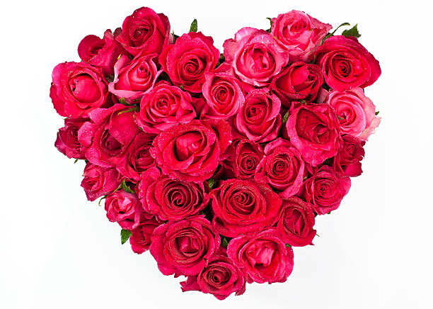 istock Valentines Day Rose Heart 137592483