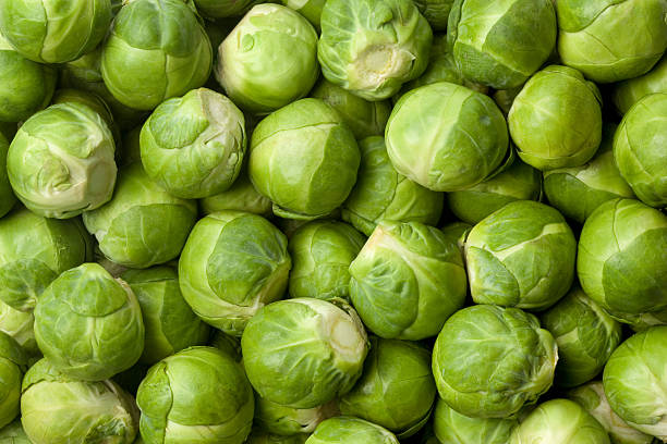 brussel sprouts frescos - col de bruselas fotografías e imágenes de stock