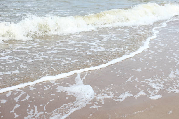 istock Seaside view with baltic sea near shoreline. 1375933647