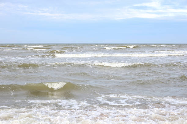 istock Seaside view with baltic sea near shoreline. 1375933648