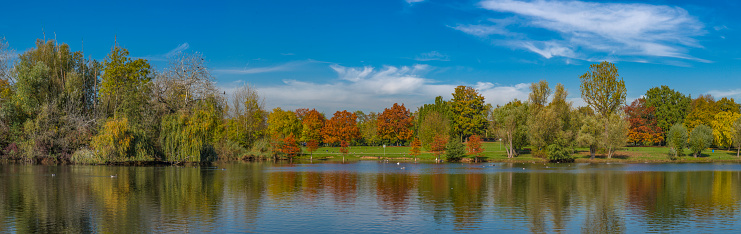 Panoramic view of the banks of the Rebstockweiher in Frankfurt am Main with autumnal deciduous trees, blue sky and light clouds