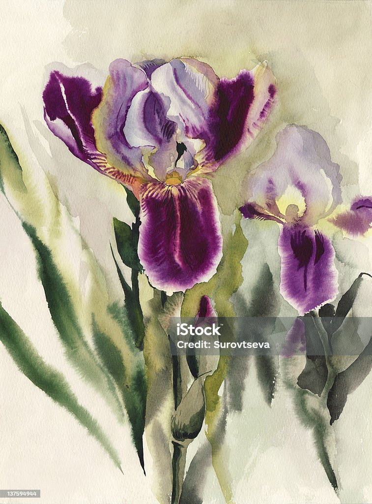 Irises Iris flowers. 1989, watercolour on paper. Scanned original image. Painting by Veronika Surovtseva, Volgograd, Russia. Art stock illustration