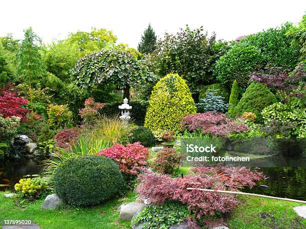 Japanischer Garten Mit Koiteiche Stockfoto und mehr Bilder von Hausgarten - Hausgarten, Baum, Busch-Stadion