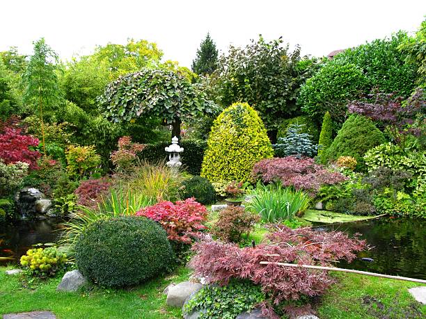 istock Japanese garden with koi-ponds 137595020