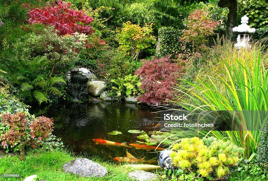 Japanischer Garten mit koi-Teich - Lizenzfrei Wassergarten Stock-Foto