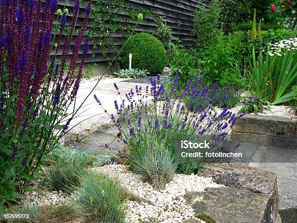 Gardendesign Stockfoto und mehr Bilder von Hausgarten - Hausgarten, Lavendel, Schottergestein