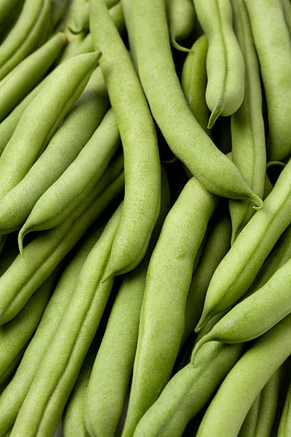 istock Green or French beans 137595272