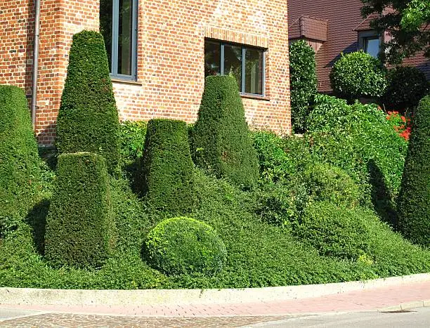 Gardendesign with buxus balls
