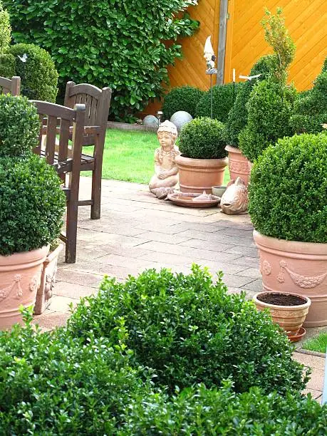 Gardendesign with buxus balls