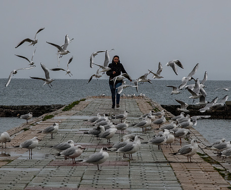 one female running on the pier of  a lake chasing a flock of seagulls