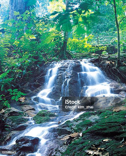 Cascata - Fotografie stock e altre immagini di Acqua - Acqua, Albero, Ambientazione esterna