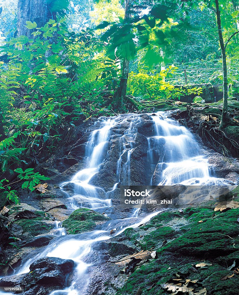 Cachoeira - Foto de stock de Ajardinado royalty-free