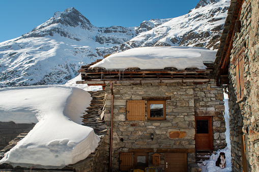 house in the village of Bonneval sur Arc in the French alps in winter. A dog is sitting in front of the house.