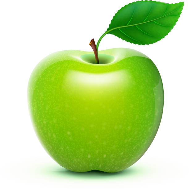 A shiny green apple with a leaf and stalk vector art illustration