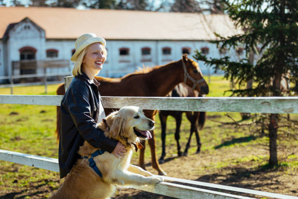 young woman with labrador - serbia horse nature landscape imagens e fotografias de stock