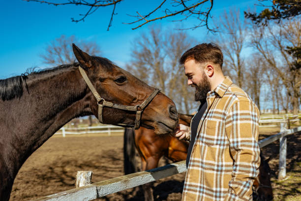 istock Young men feeding his mare with an carrot 1375996674