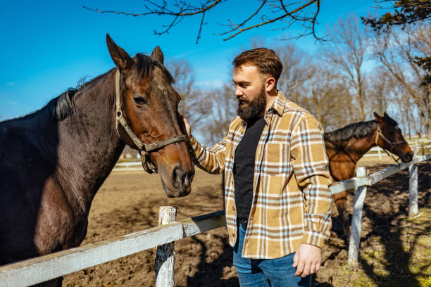 istock Loving tender moment between men and horse. 1375999378
