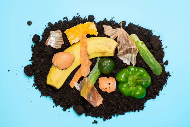 istock Food leftovers and soil on blue background close-up top view, compost concept. 1376006495