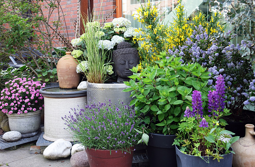 Picture of beautiful, colorful flower pots