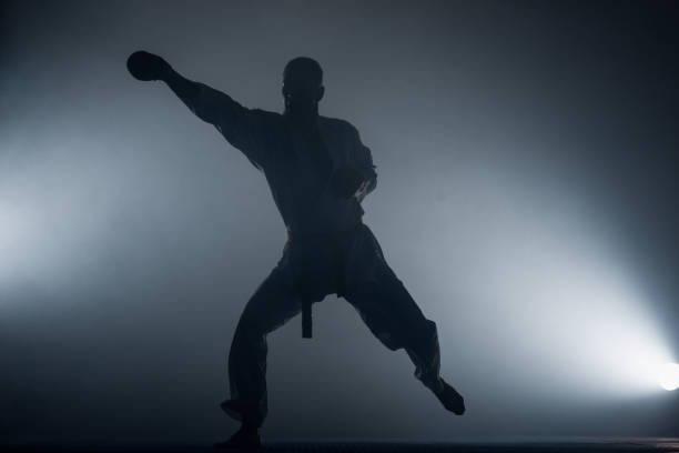 istock Martial arts master on fight training in gym 1376007973