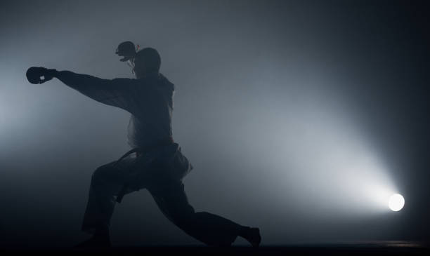 istock An image of a taekwondo martial arts master 1376007980