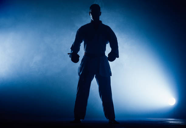 istock The two judokas fighter posing in gym 1376008026