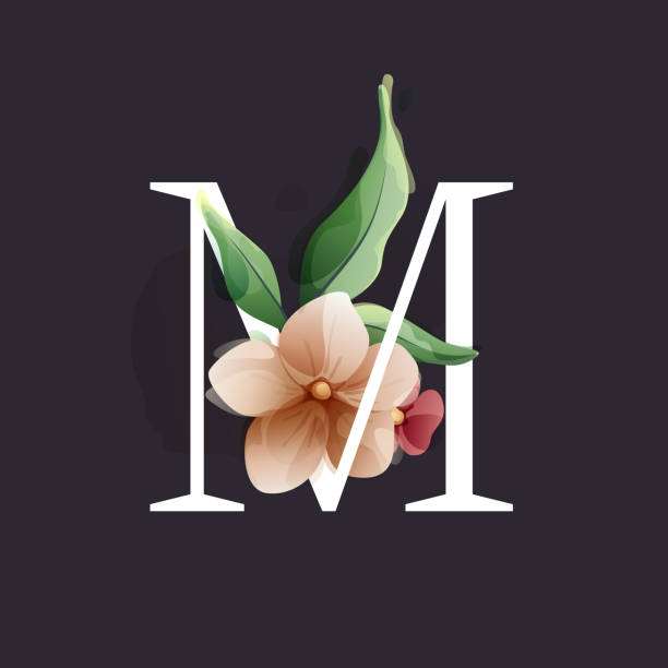 ilustraciones, imágenes clip art, dibujos animados e iconos de stock de logotipo de letra m en estilo acuarela con flores y hojas. hierbas como peonías, manzanilla y brotes. - m chamomilla