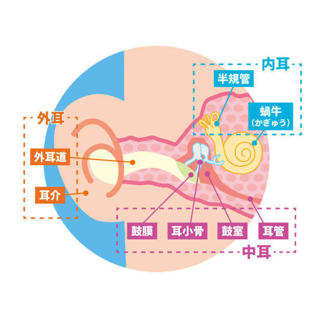 My Image 32