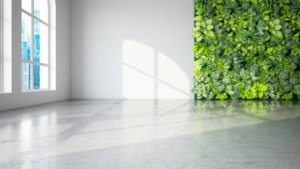 istock Bright Unfurnished Room with Vertical Garden Wall 1376023779