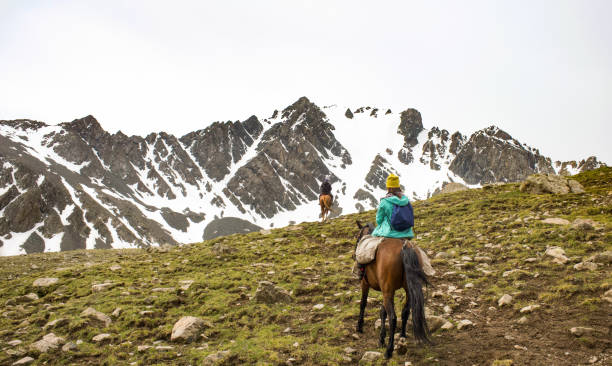 istock horse tour 1376030119