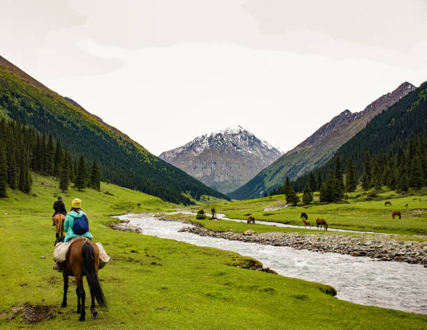 istock horse tour 1376030121