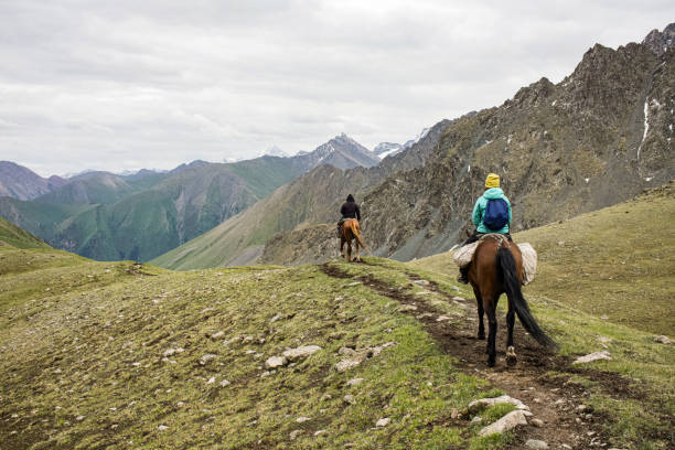 istock horse tour 1376030648