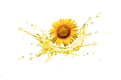 Sunflower seed oil splash isolated on white background.