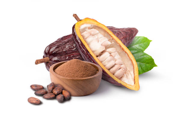 istock Cocoa fruit and cocoa powder 1376079792