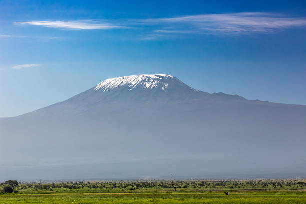 istock Savannah and Kilimanjaro Mountain 1376092658
